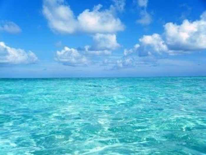 La lune de miel au Maldives