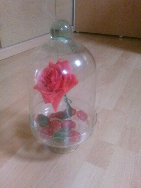 La rose sous cloche