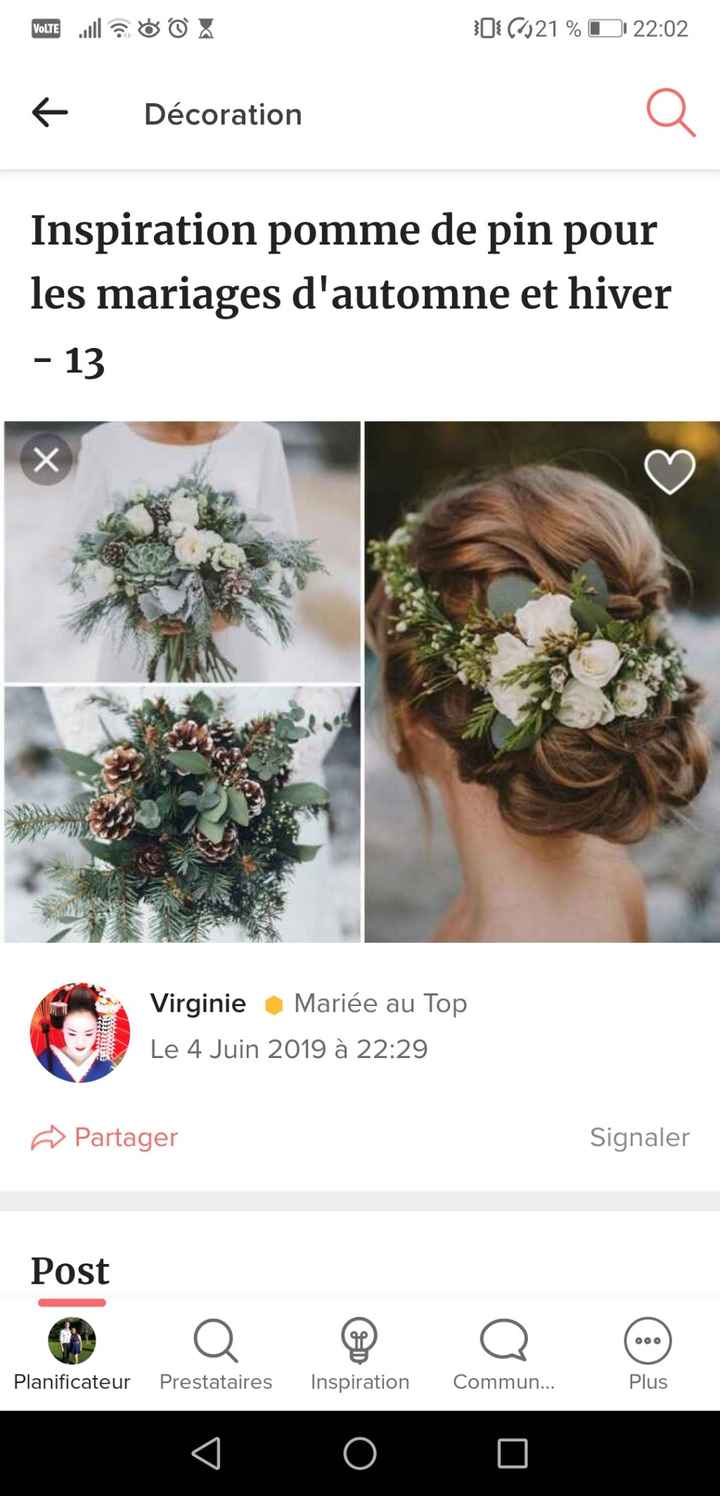 Mariage d'hiver - 2