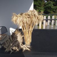 1Ère déco maison - 1