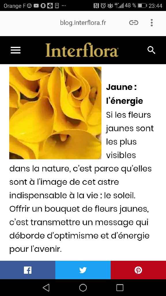 Jaune, le mal aimé ....🌼 - 1