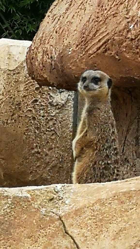 Escapade en amoureux - 4