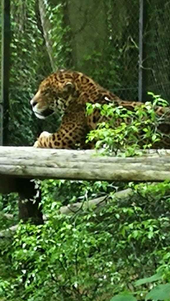 Escapade en amoureux - 7