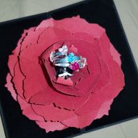 As-tu regardé les bagues/alliances avant même la demande ? - 1