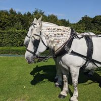 Mon mariage le 4 septembre 2021 - 4