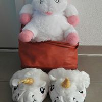 19 août 2017 mon evf - 1