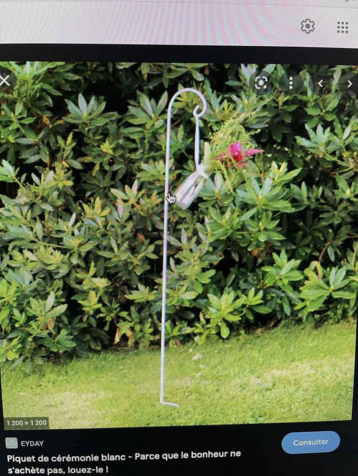 Piquet de cérémonie - 1