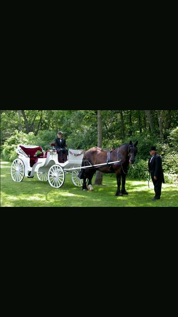 Quel est le style de voiture pour votre cortège? - 5