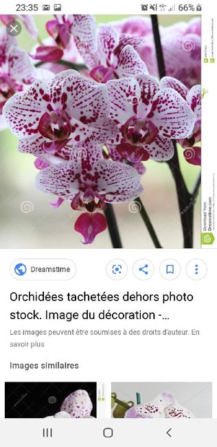Team Mariage été 2020 - 1
