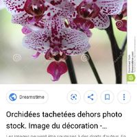 Team Mariage été 2020 - 1