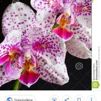 Team Mariage été 2020 - 2