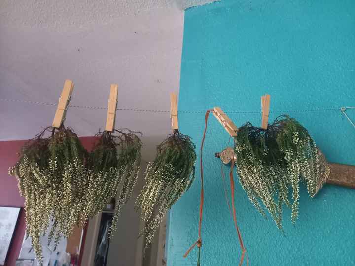 Notre mariage 28 mai 2022, Budget serré, thème Irlande Vs Ecosse, robe bustier droit, département 06