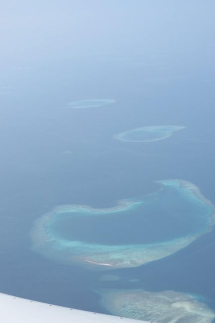 Notre plus beau voyage  - 2