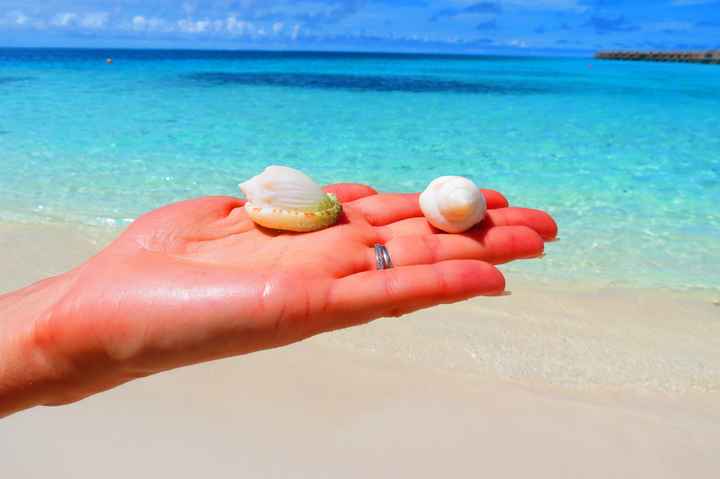 Notre plus beau voyage  - 1