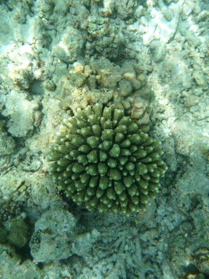 Notre plus beau voyage  - 3