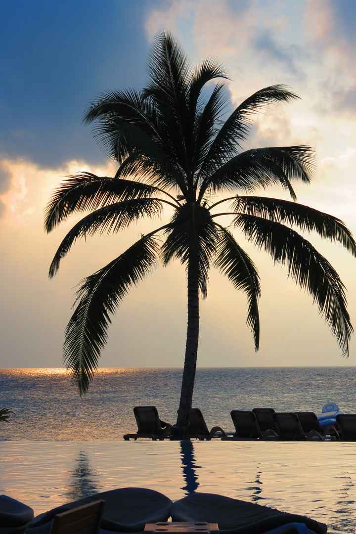 Notre plus beau voyage  - 1