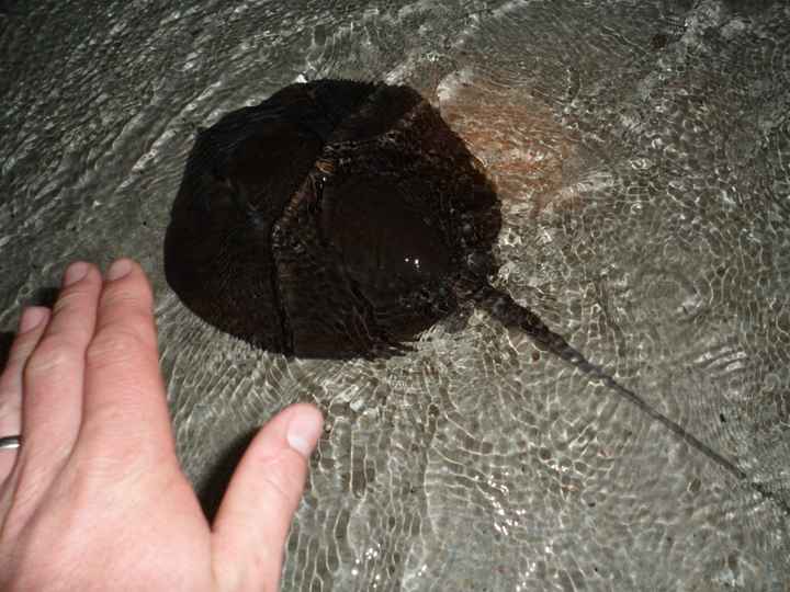 Notre plus beau voyage  - 3