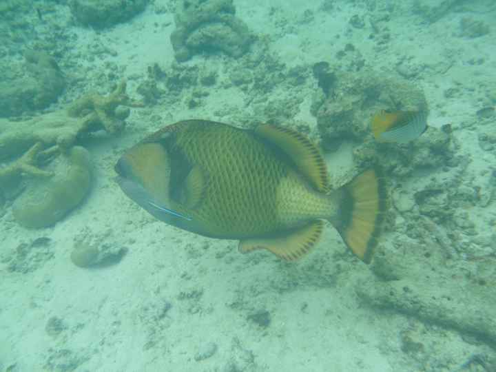 Notre plus beau voyage  - 4