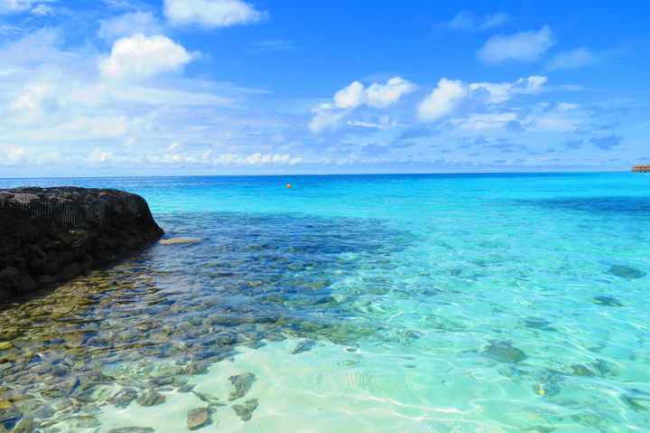 Notre plus beau voyage  - 5