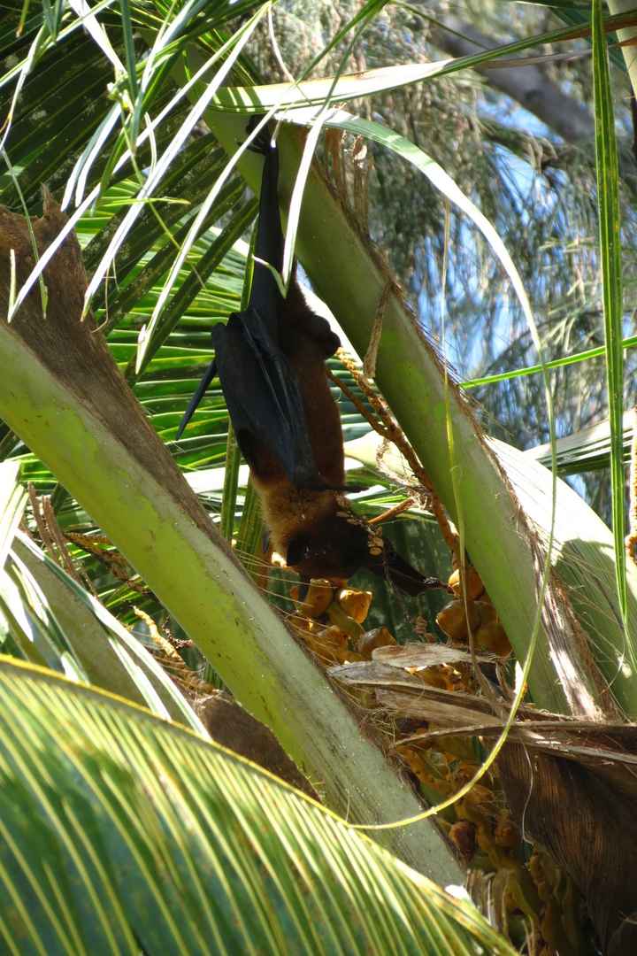 Notre plus beau voyage  - 6