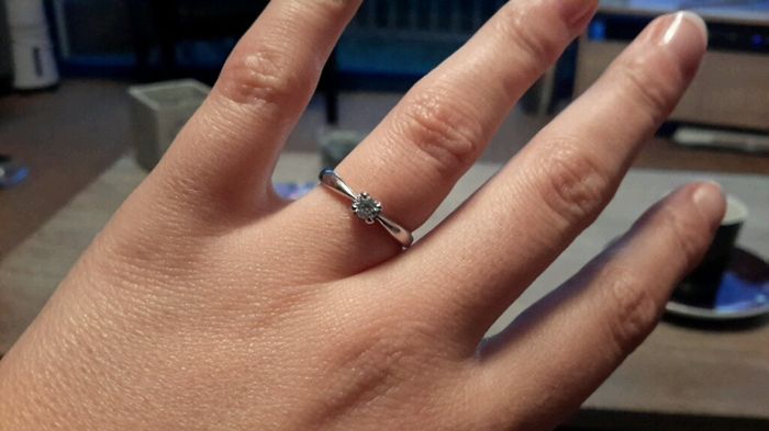 La bague de la demande en mariage - 1