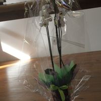 cadeaux de la part du Pasteur