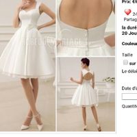 Robe pour la mairie - 1