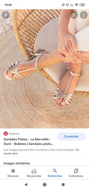 Escarpince sable ? 6