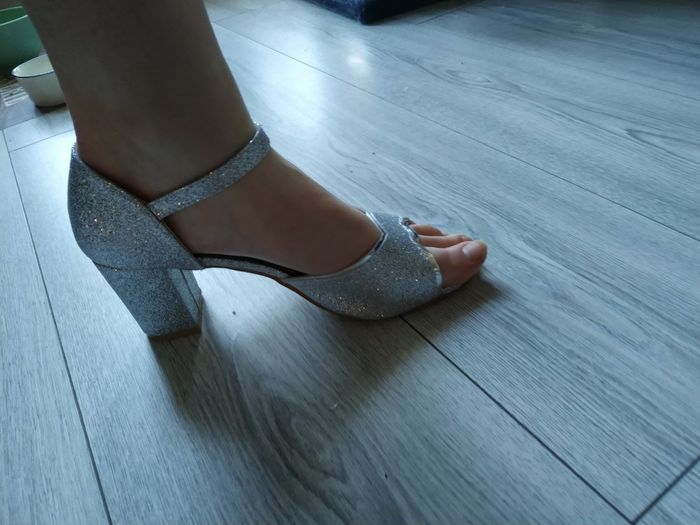 Escarpince sable ? 3