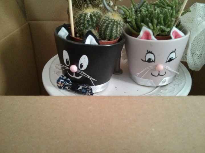 Pots succulentes/cactus