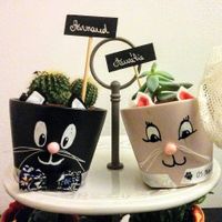 Nos pots-chats