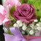 Habiba