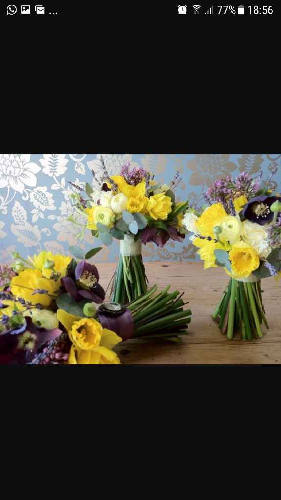  Bouquet jonquilles/narcisses ? - 5