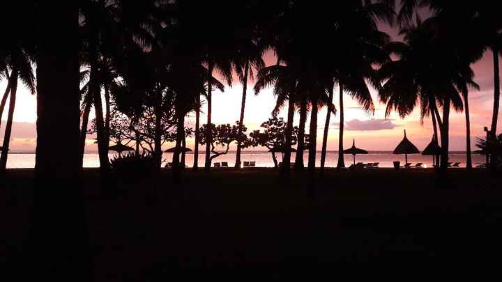  L'île Maurice pour notre voyage de noces!!! - 3