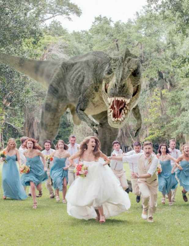 Des mariages insolites! - 5