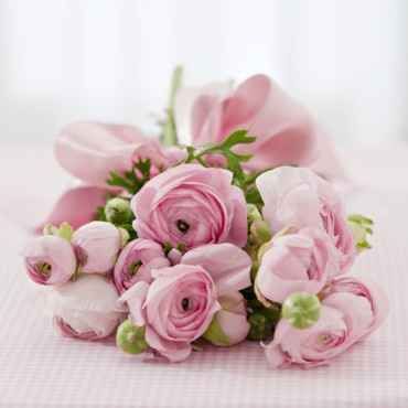 Renoncule: belle alternative contre la pivoine - 10
