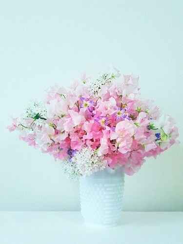 Le pois de senteur: un bouquet delicat pour votre mariage?!! - Décoration -  Forum Mariages.net