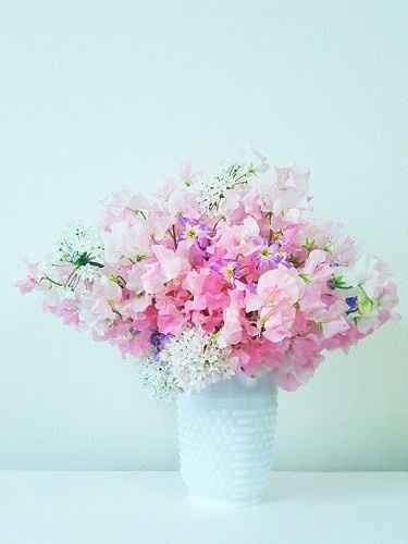 Le pois de senteur: un bouquet delicat pour votre mariage?!! - 7