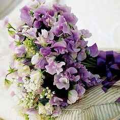 Le pois de senteur: un bouquet delicat pour votre mariage?!! - 8