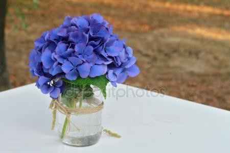 Et des hortensias? - 7