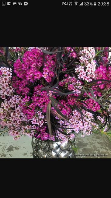 Alternative au gypsophile...le wax - 3