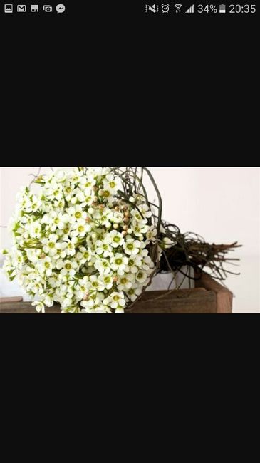 Alternative au gypsophile...le wax - 11