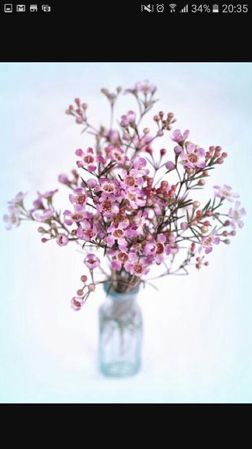 Alternative au gypsophile...le wax - 13