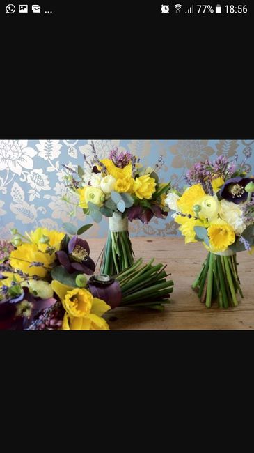  Bouquet jonquilles/narcisses ? - 5