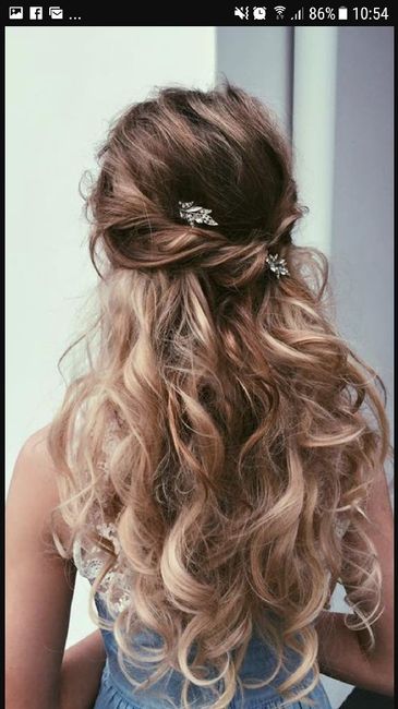  Et que dite vous de tresses ou demi attache flou? - 2