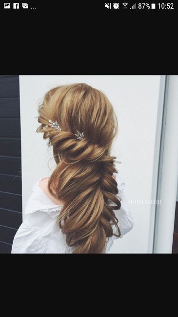  Et que dite vous de tresses ou demi attache flou? - 15
