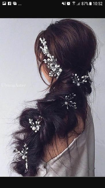  Et que dite vous de tresses ou demi attache flou? - 17
