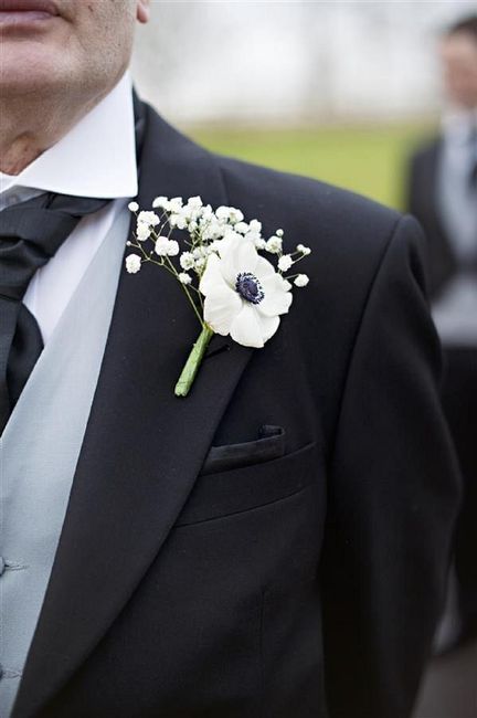Anémone: une de med fleures préféré. - 5