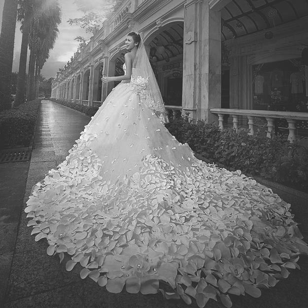 Robe de mariée traine..photo en noir en blanc 5