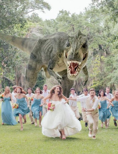 Des mariages insolites! - 5
